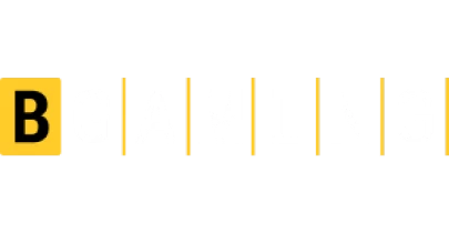 partners who work with Win101